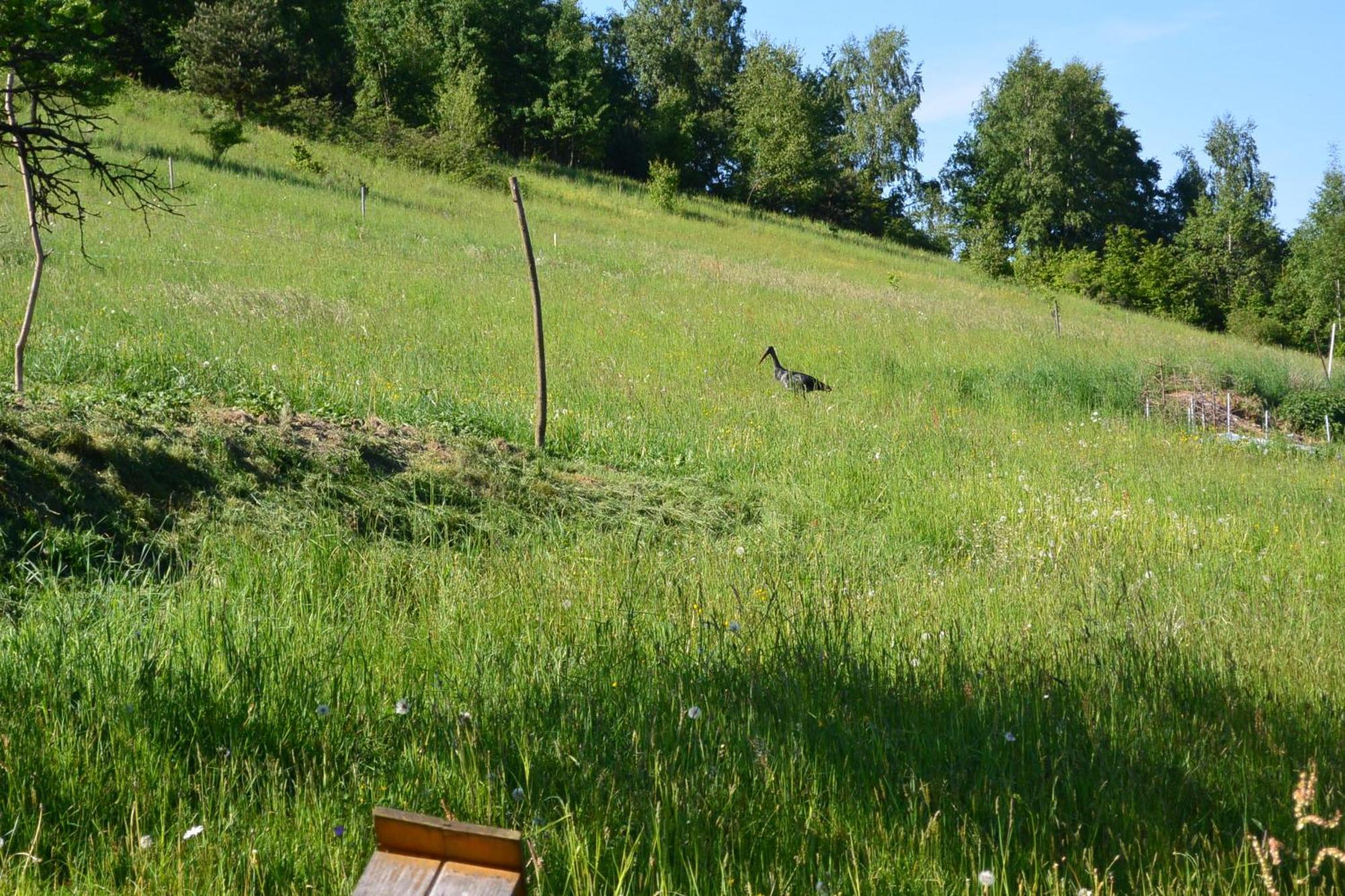 Na Polach * Piwniczna-Zdroj